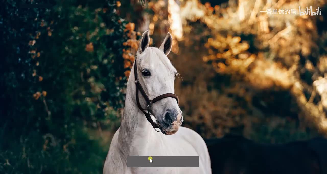 【POWERBI】18. Power Pivot_聚合函数、分组功能