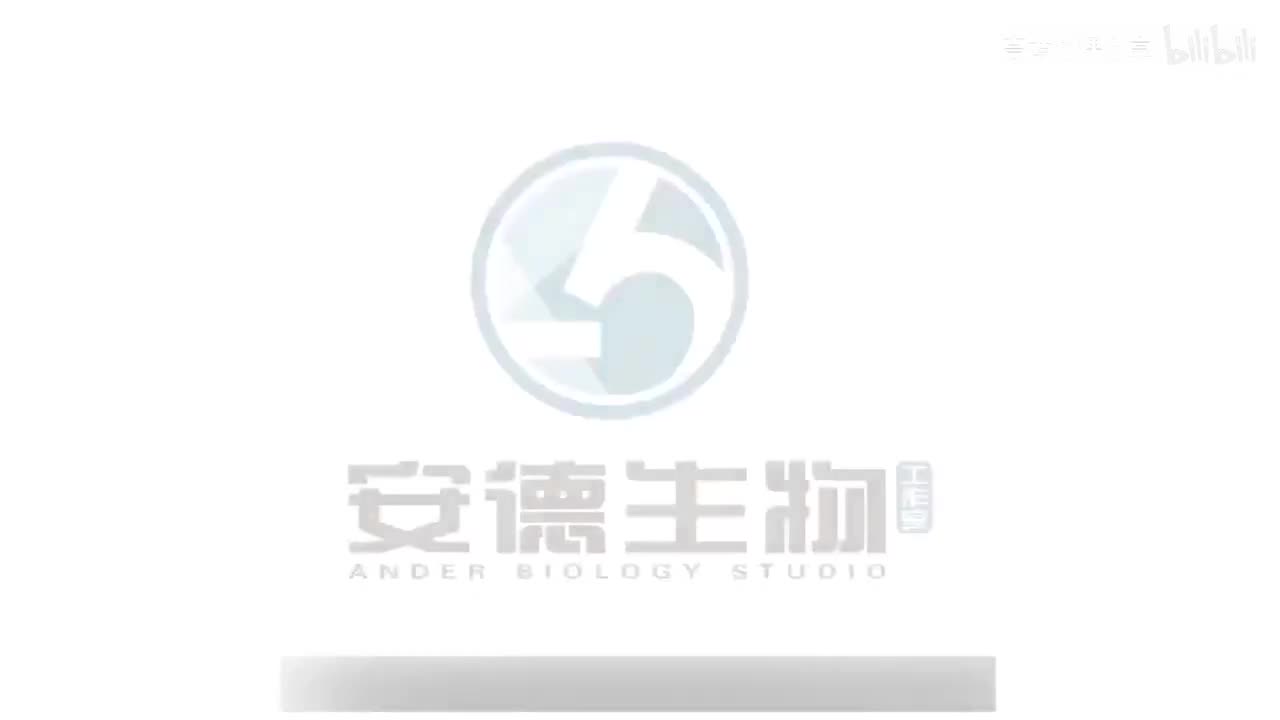 03.病毒完全解读