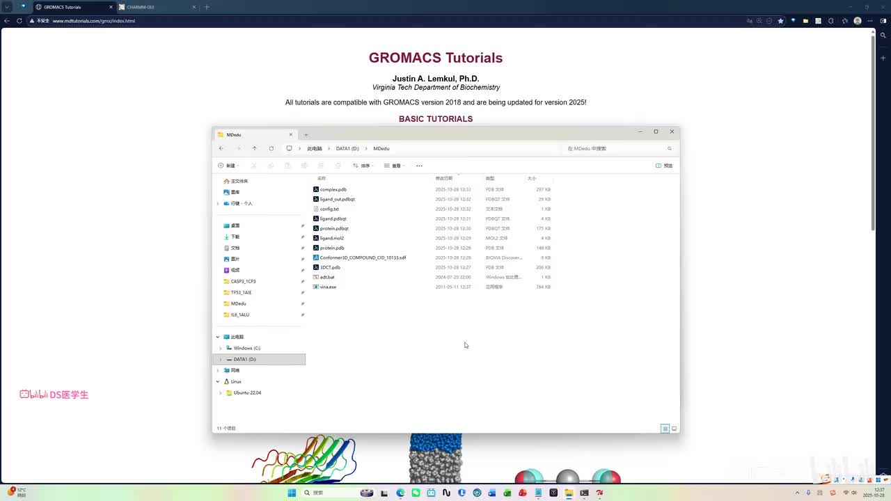 P2生成蛋白质拓扑(charmm36力场)
