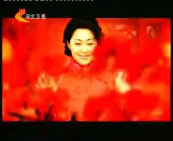 tvcimage.meihua.infompeg20100222112480_1202.mp4