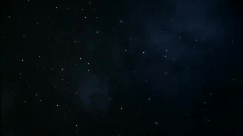 神秘海底世界的奥秘