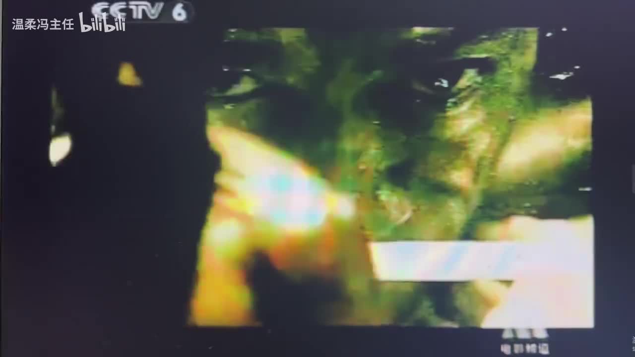 CCTV6 天津一汽威乐（2006.3.9）