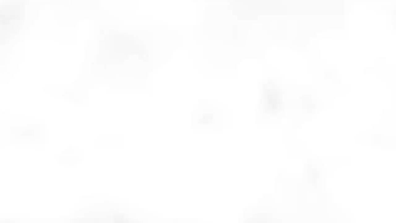 116-34【第13讲·②】枫树上的喜鹊·课内阅读