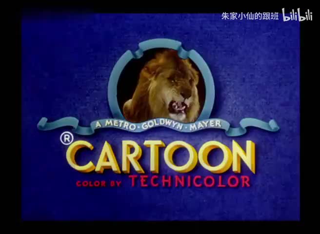 猫咪协奏曲