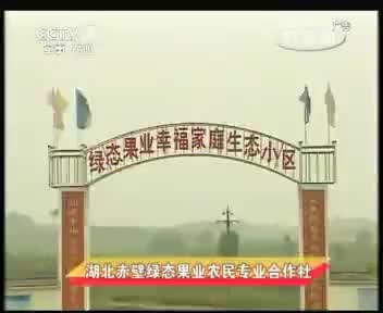 绿态果业 2012.5.13