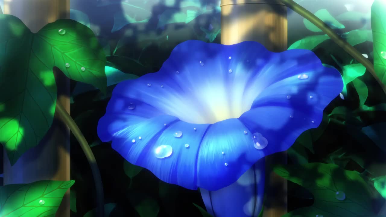 第12话 梦想之路上绽开的花朵们