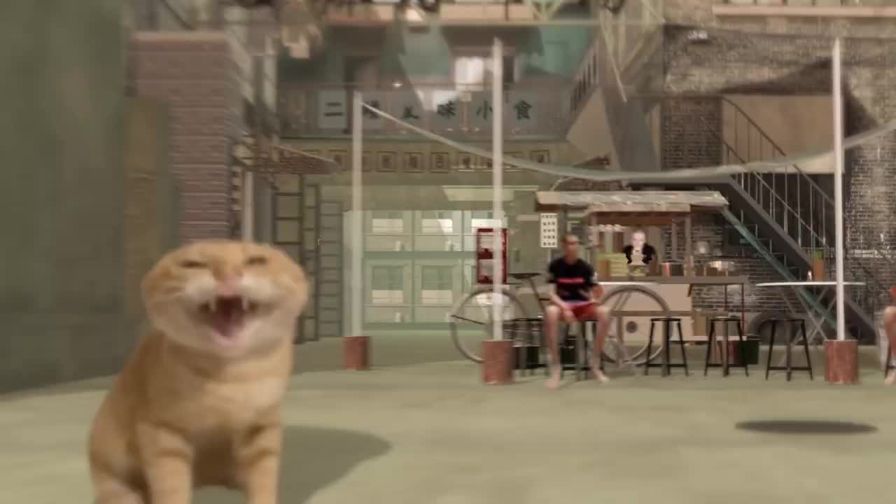 7-27【案例七】三维猫meme-壹（系统课98）