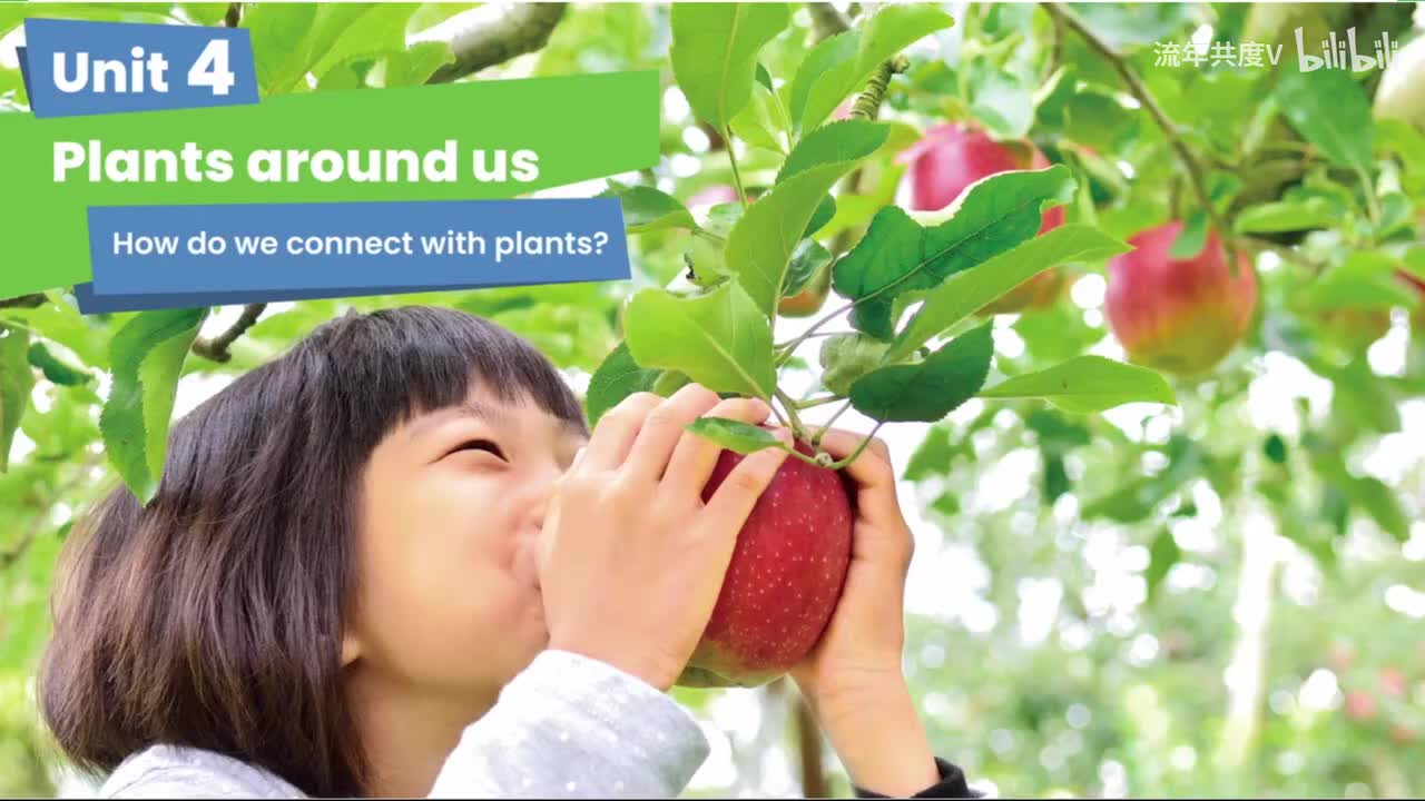 Unit4开篇页