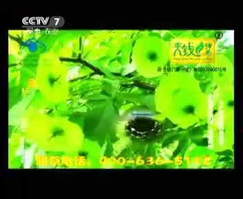 2013年版本