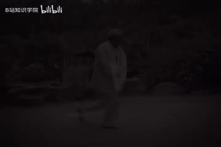 杨式太极拳85式-0演练