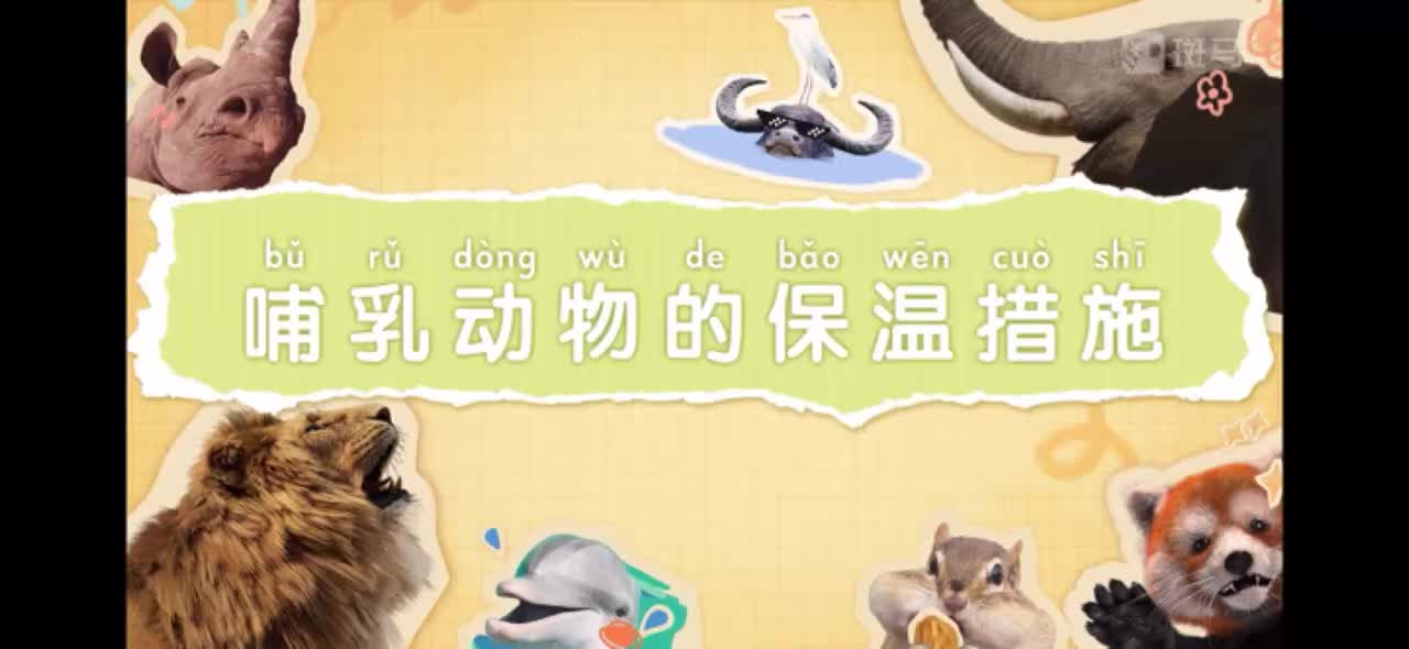 08-哺乳动物的保温措施