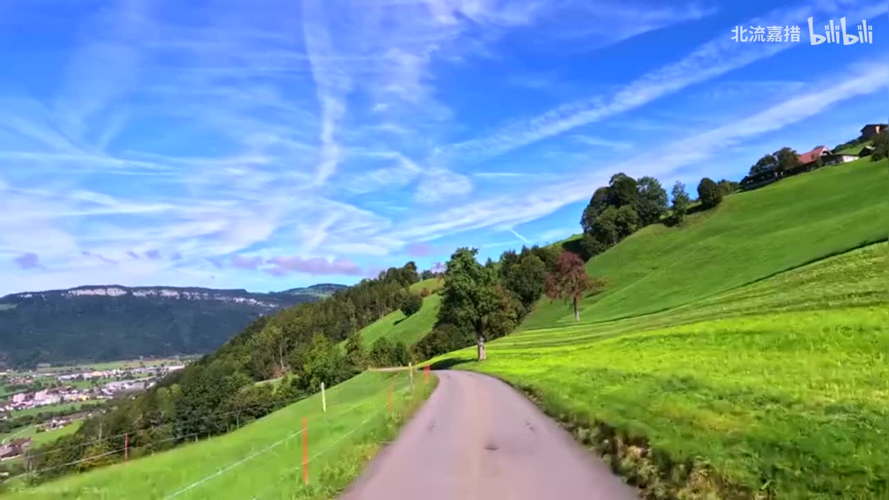 Shelter (治愈版) - ALisa