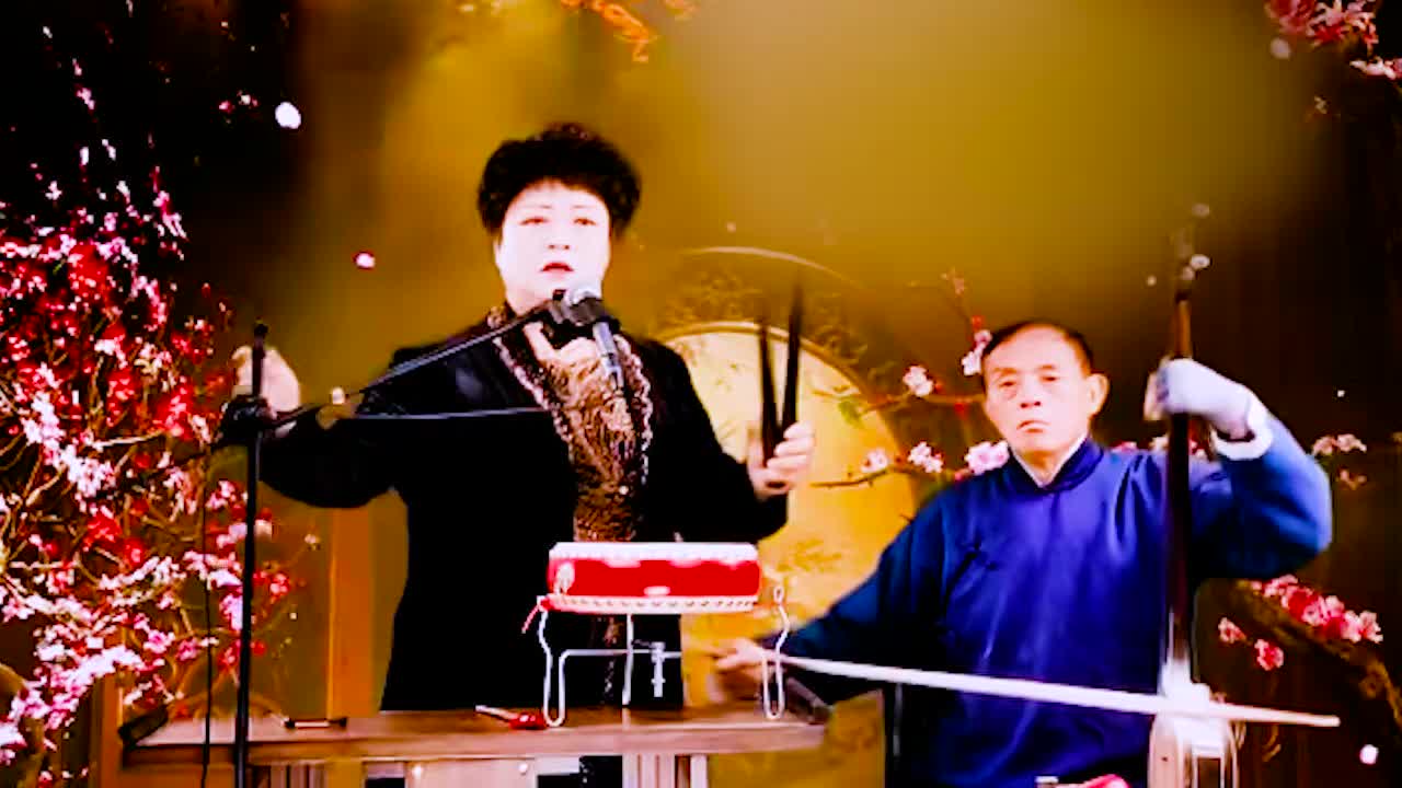 河南坠子 · 《呼家将》肖计英（24）