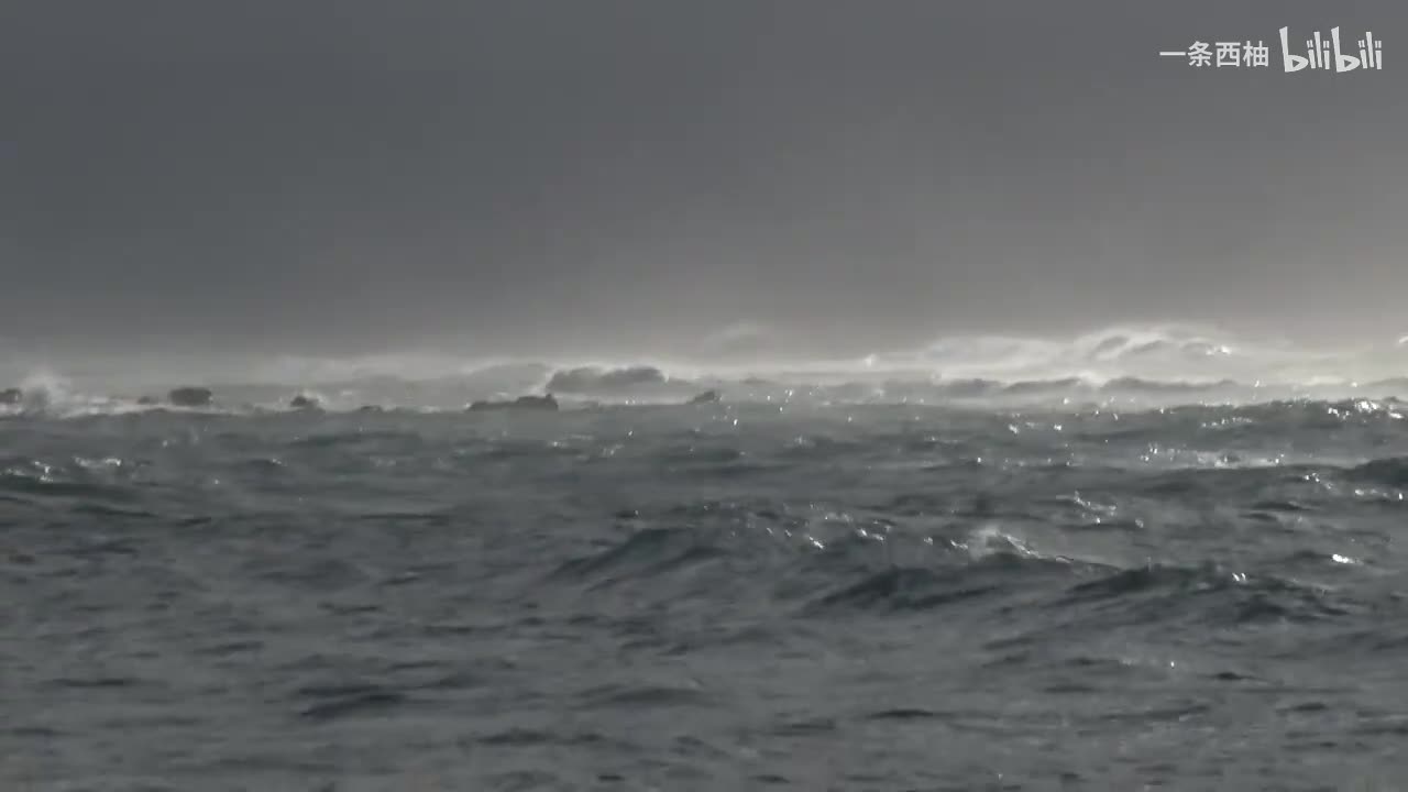 雨中氛围感 (51)