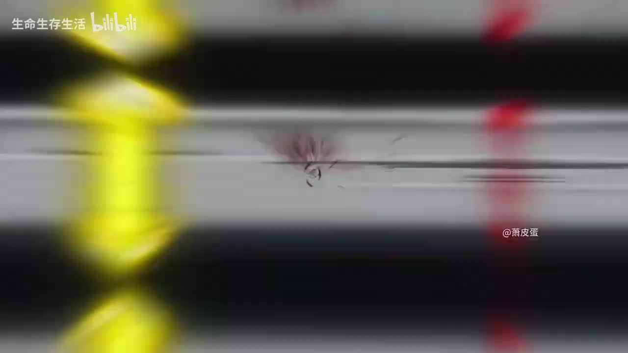 5-苟道天下无敌