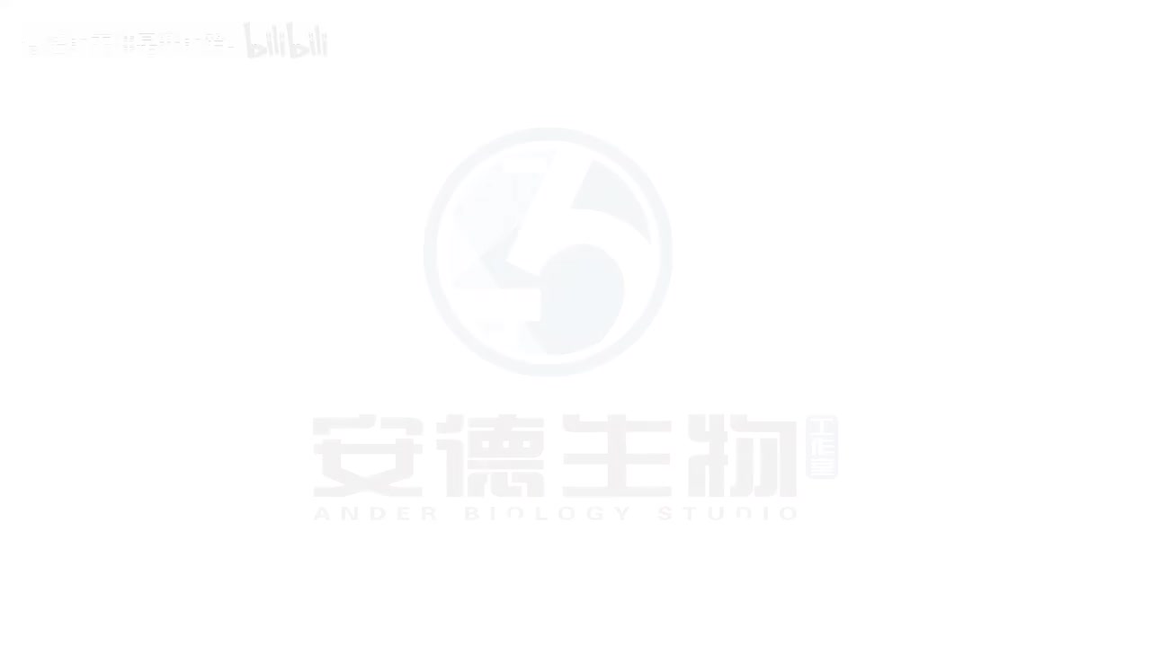 36.生态系统的结构和稳定性