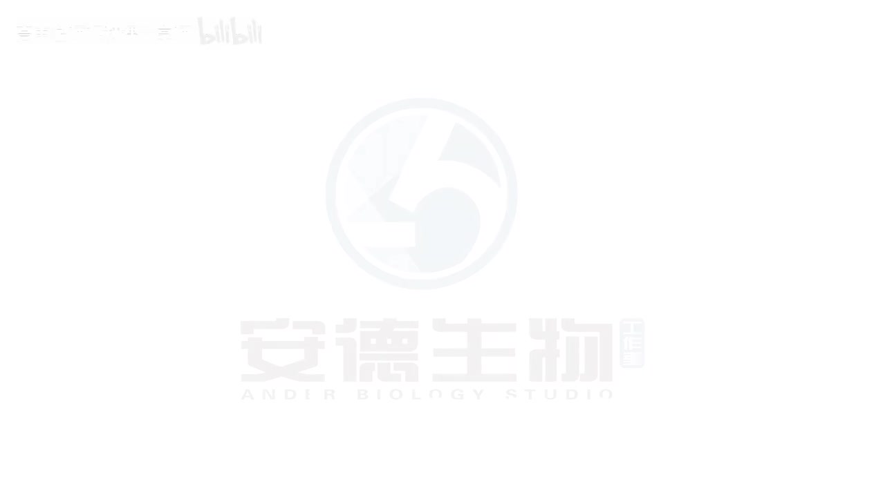 11.细胞分裂图像类题