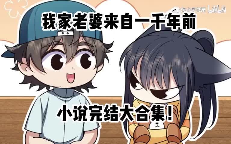 （小说内容）