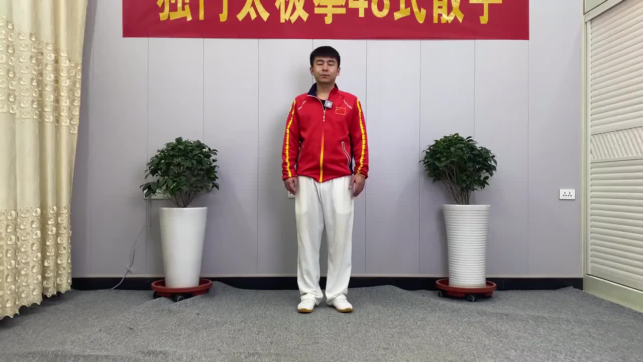 第92节拳理分享—平开步震脚