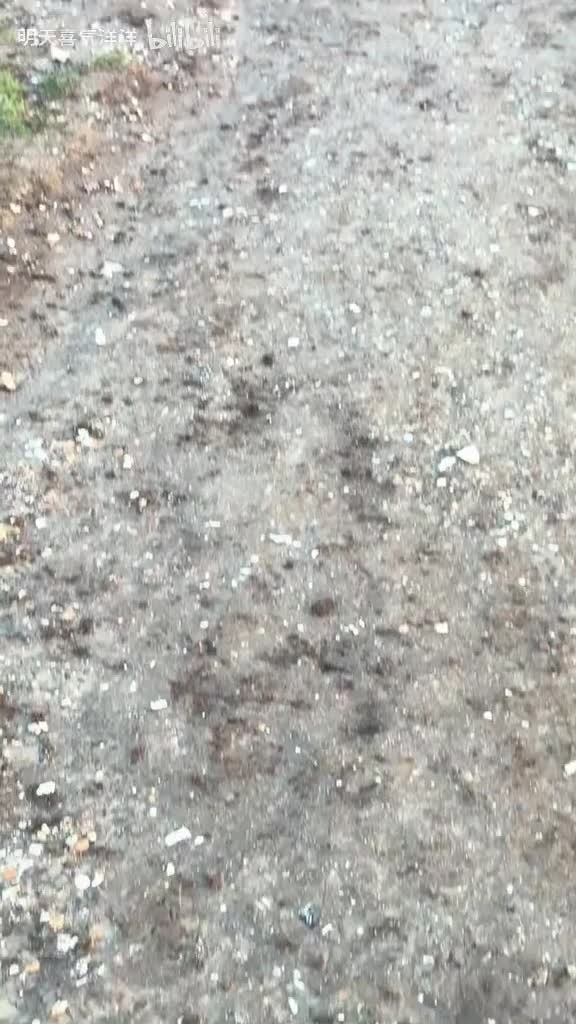 今天是个好日子，心想的事儿都能成