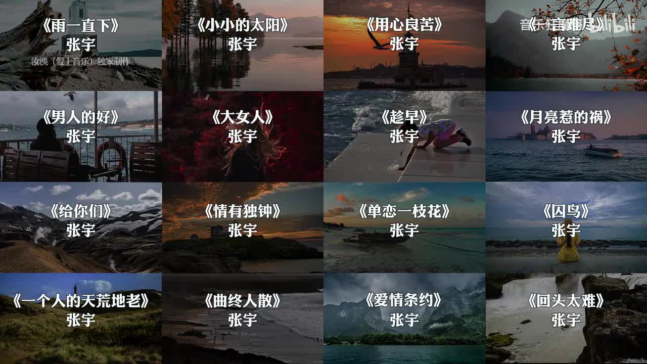 张宇音乐合集来了，一小时纯享版#张宇 #音乐 #戴上耳机 #听歌160