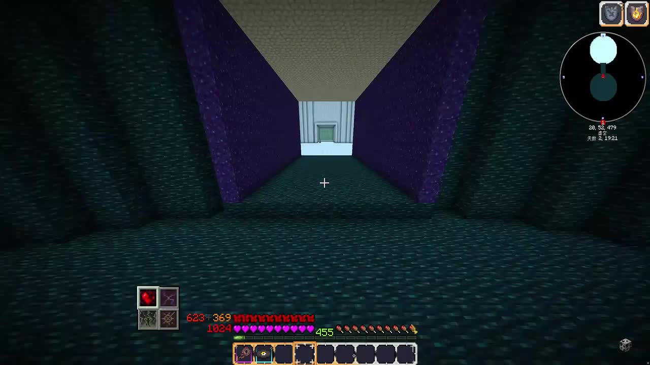 弹幕版-8 生存录制