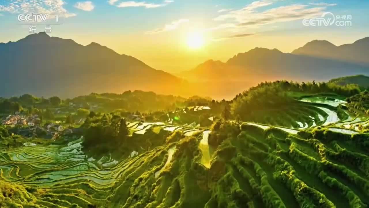 《自然中国之熊猫家园》 第1集 生命港湾