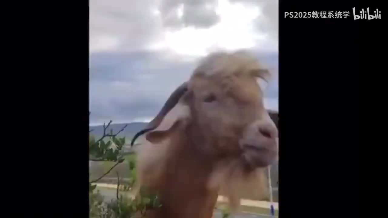 【PS教程】4.1分配率