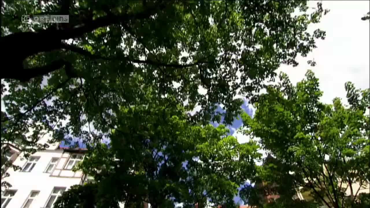 Türkisch für Anfänger (Season 2 Episode 16) Watch German TV series (German Subti