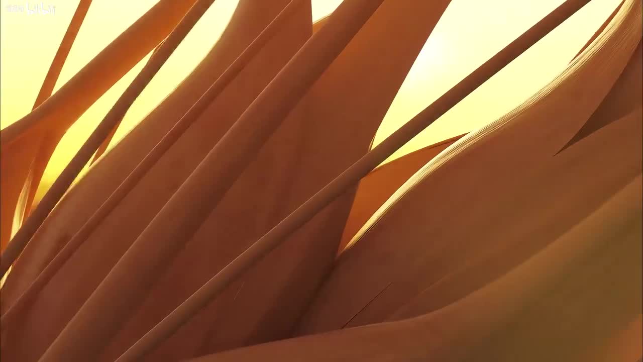 【整蛊专家】 4K独家修复 全网最清晰版本 国语中字 刘德华 周星驰 关之琳 邱淑贞 吴孟达 李子雄