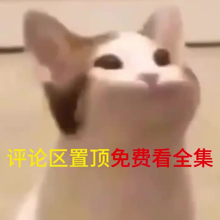 全集完整版评论区免费看