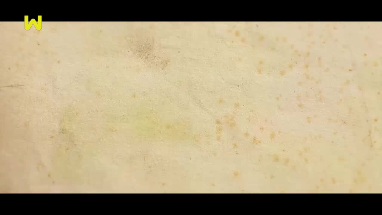 S01E05 恐怖的疫情