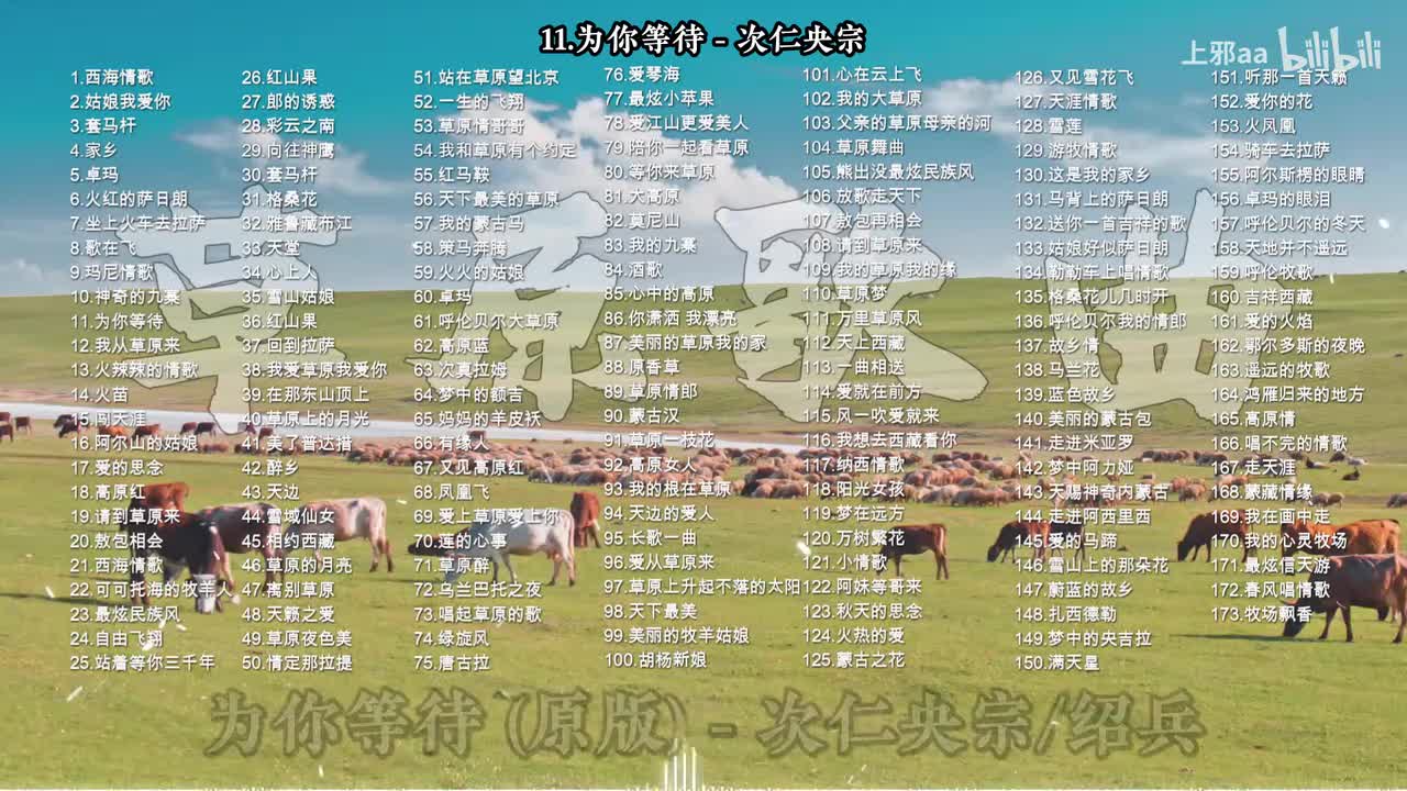 011. 为你等待 - 次仁央宗