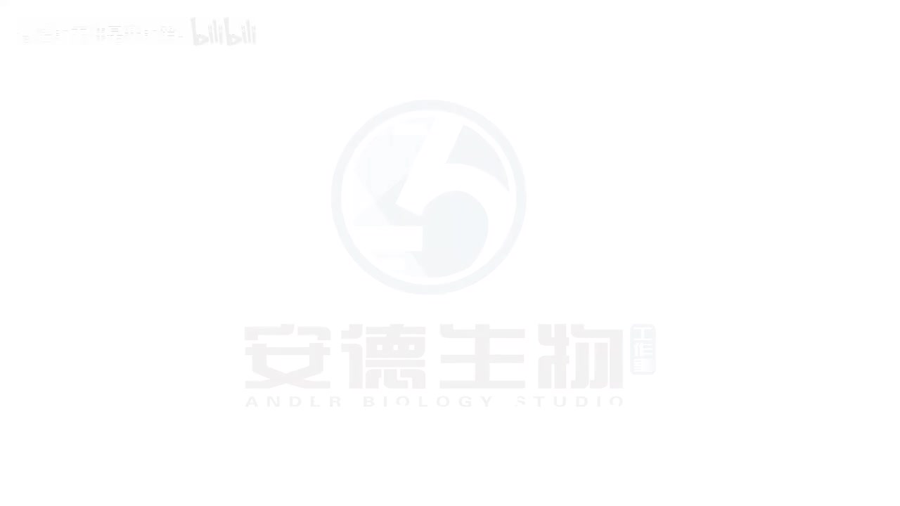 16.自由组合定律和分解组合法