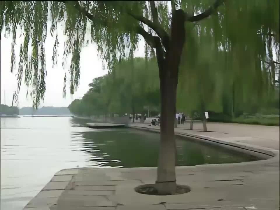 03 济南战役（上）