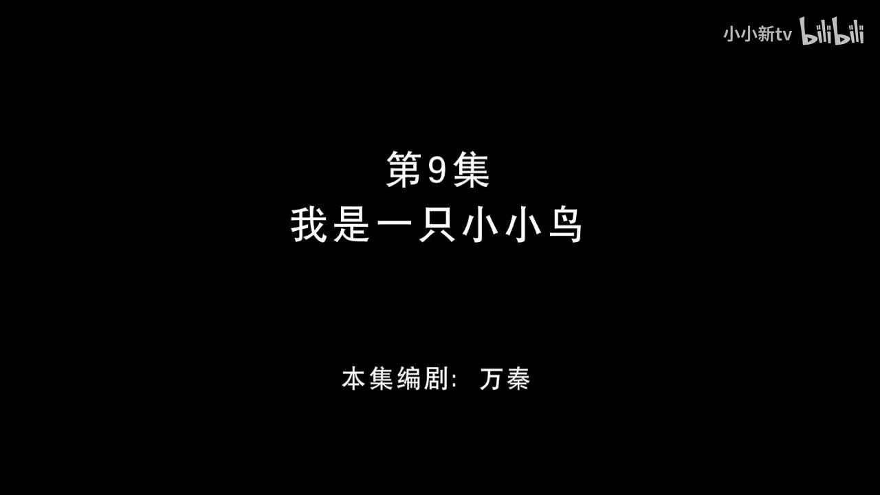 我是一只小小鸟09