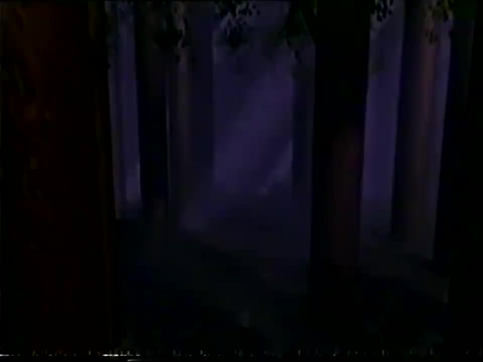 第一代（第一版，1995—1999）