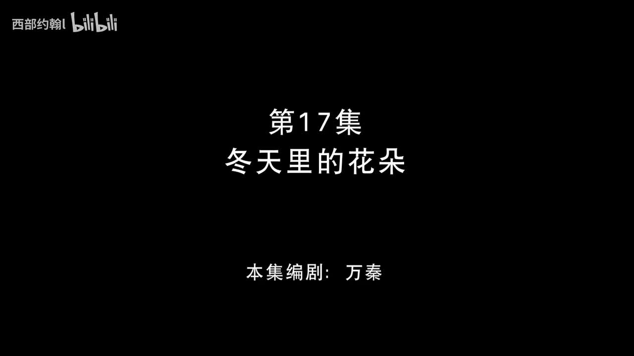 17.冬天里的花朵