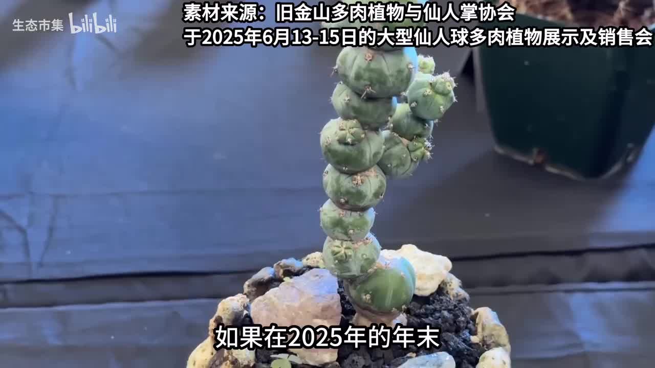 年终总结番外篇，今年为什么没有新灭绝的植物？