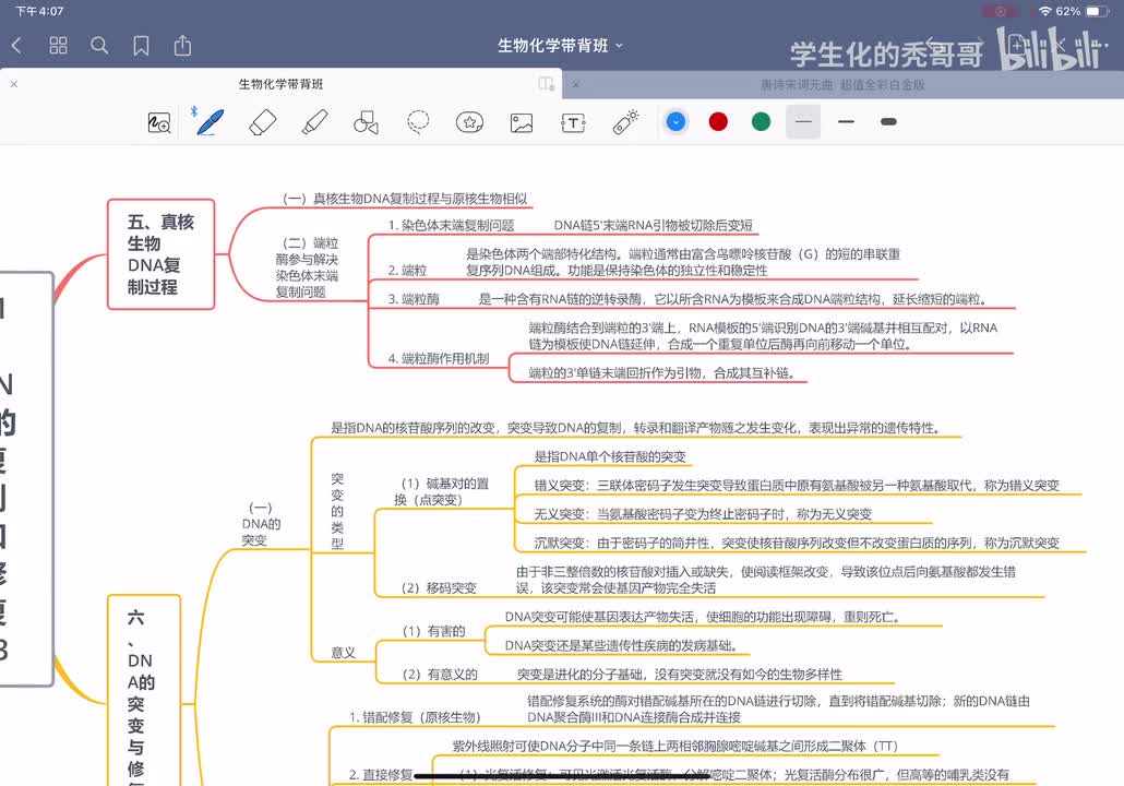 21：DNA的复制和修复03