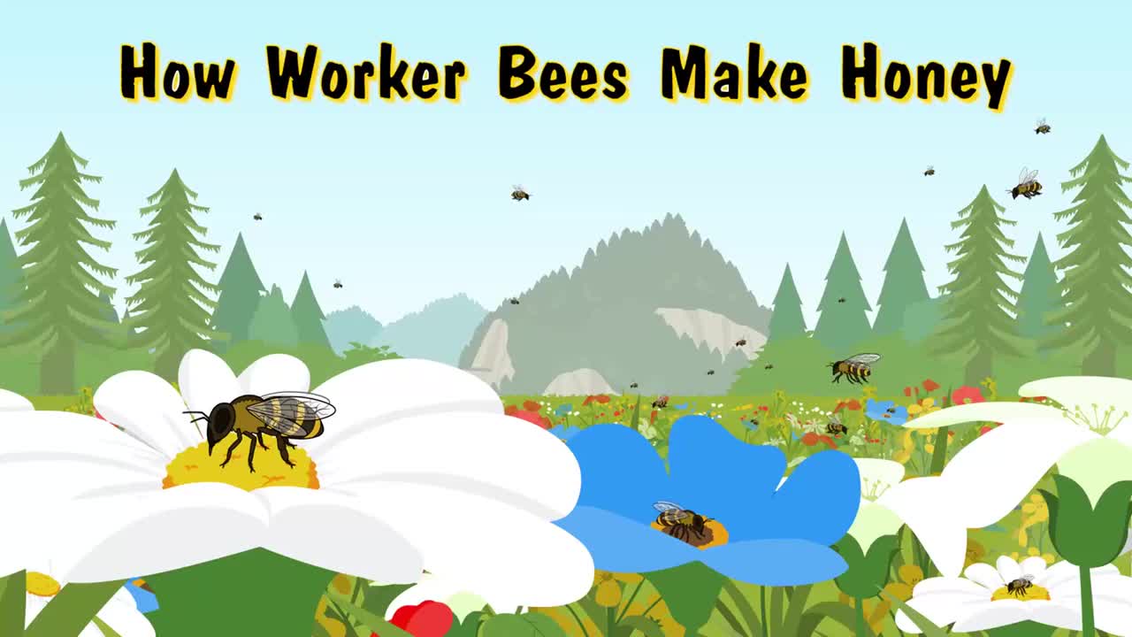 012_How Worker Bees Make Honey