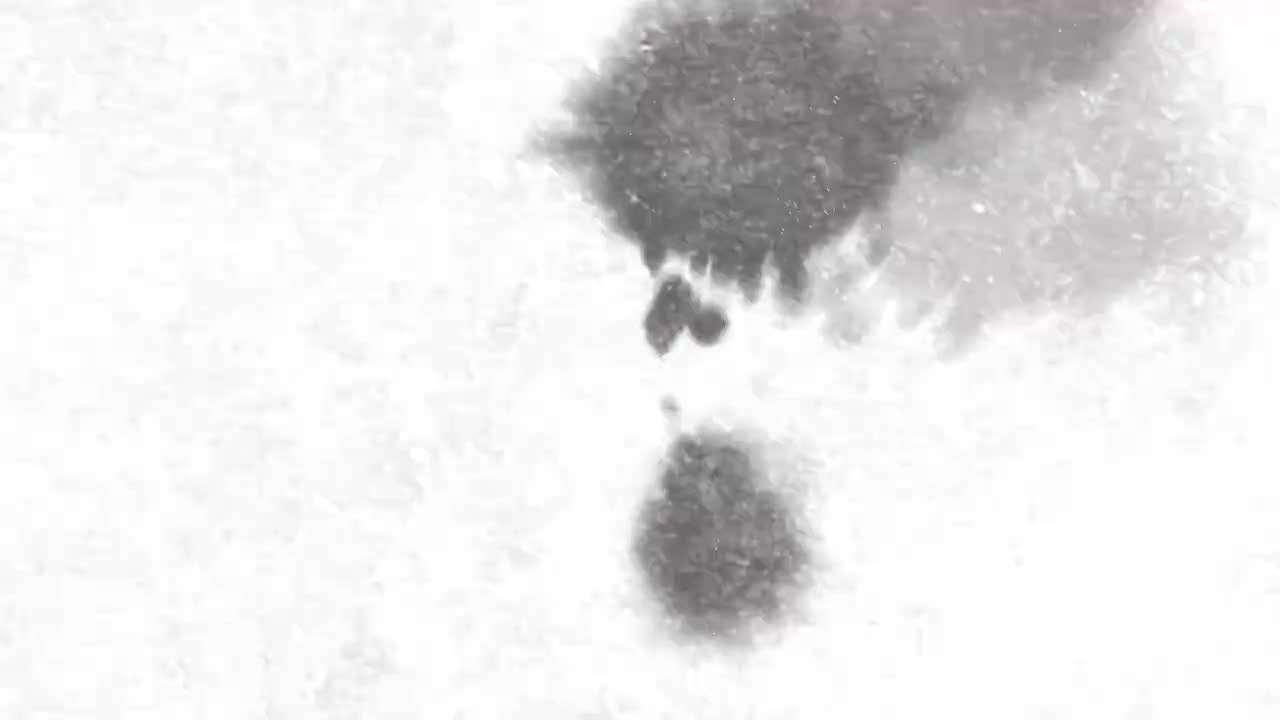 16.【三下同步作文】第一单元：我的植物朋友(