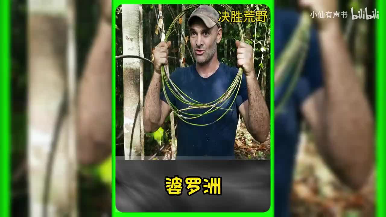 德爷决胜荒野第一季全