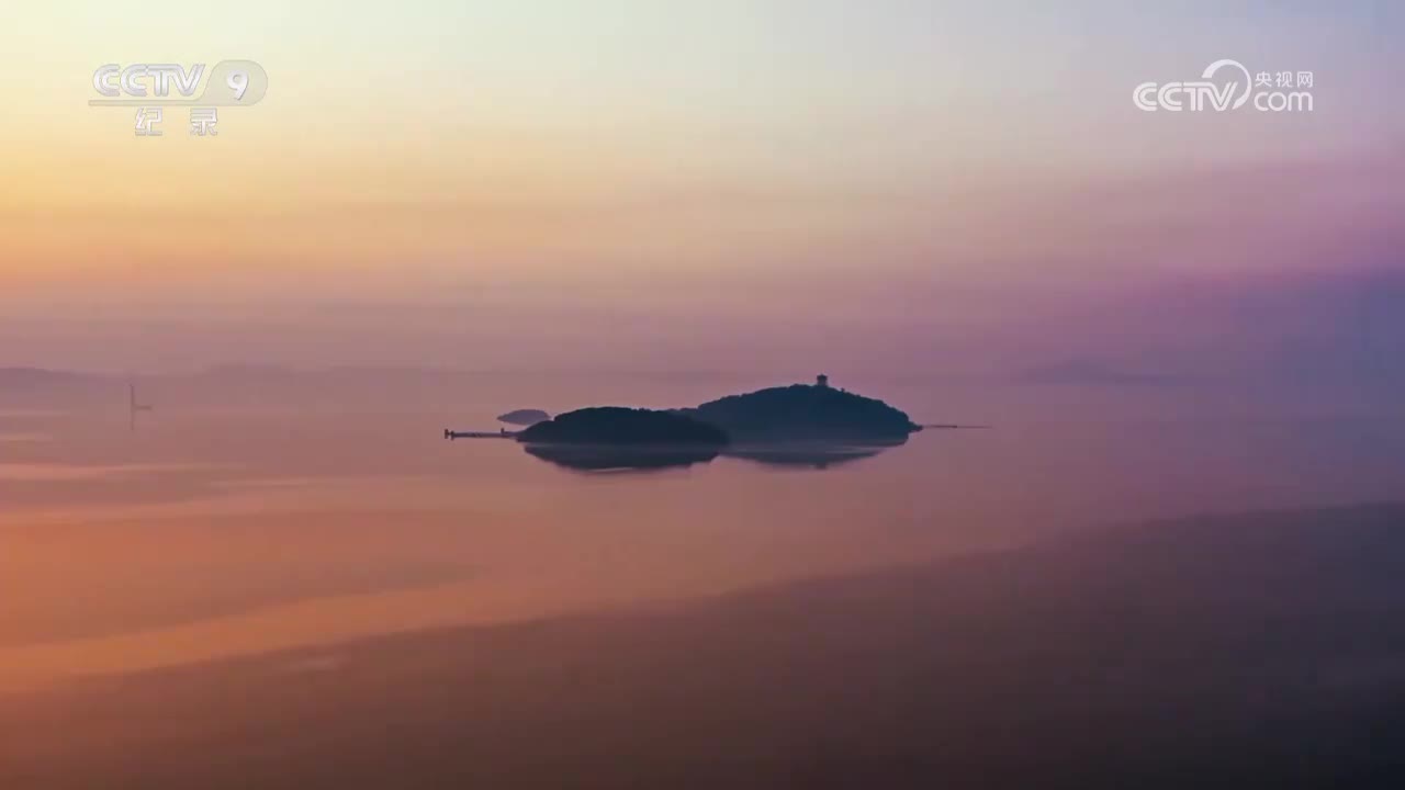 第2集 奇妙的舌尖