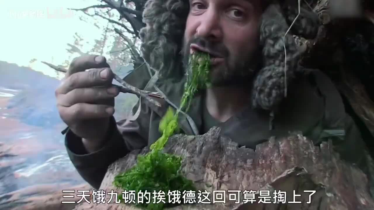 德爷荒野求生合集版