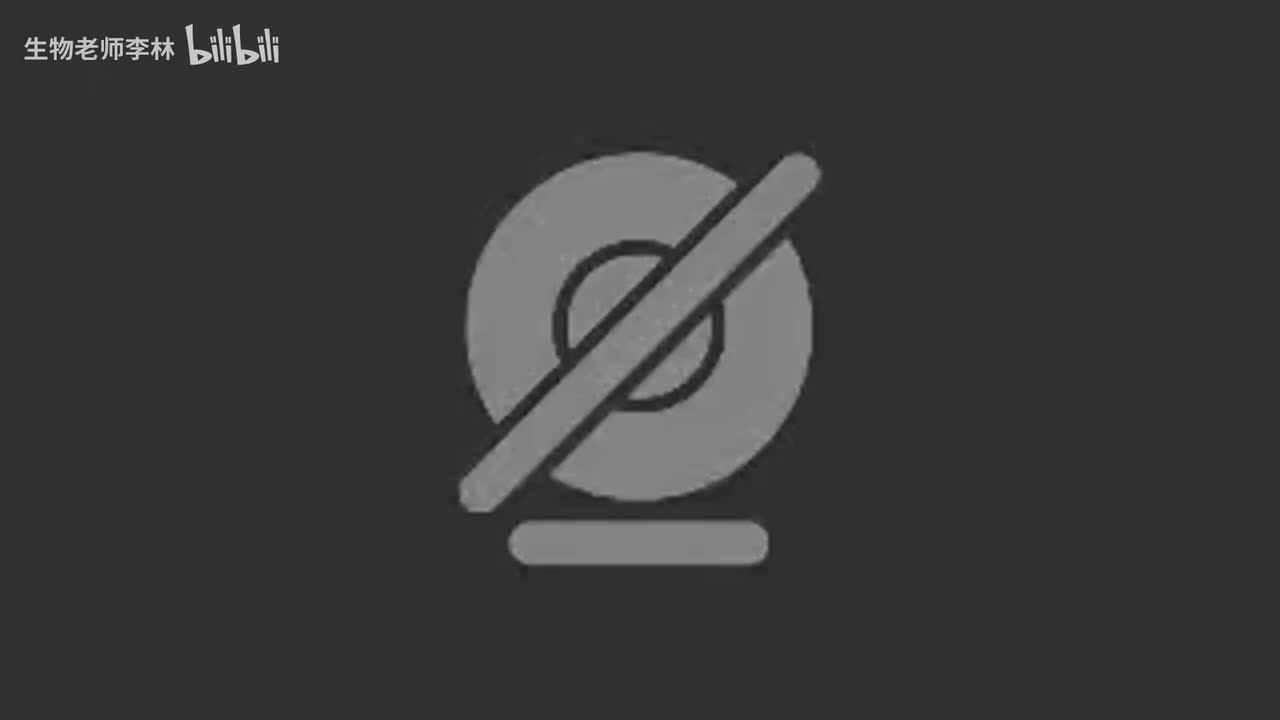 46.十一月第二次直播答疑