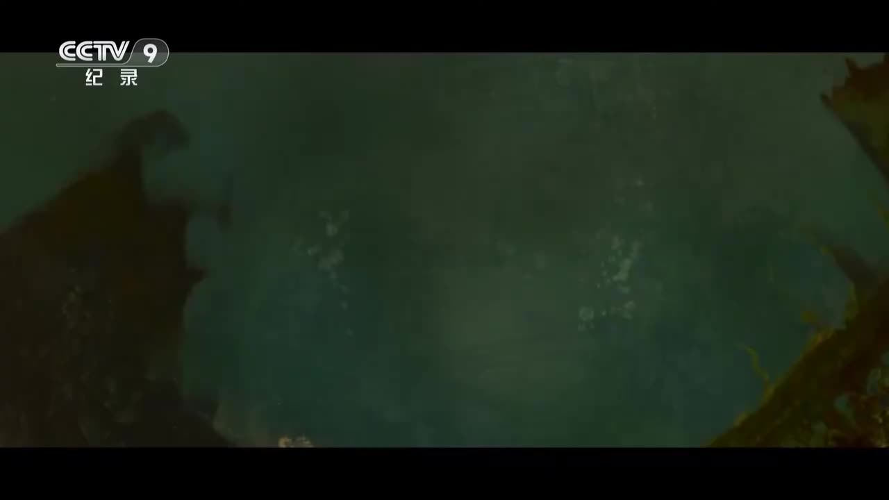 第2集：沉船如何被整体打捞出海？这可是全球首创的第五代打捞技术