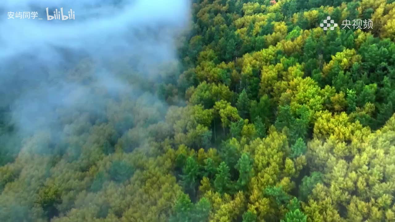 第3集：人类净土