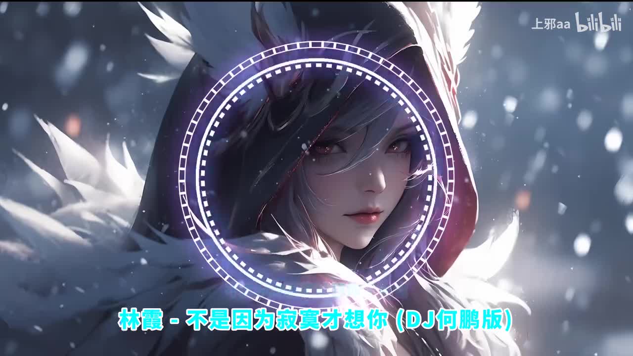 046. 不是因为寂寞才想你 (DJ何鹏版) - 林霞