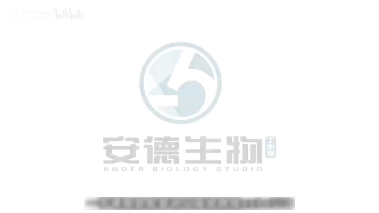 08.光合呼吸综合模型